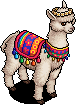 Killa, alpaca